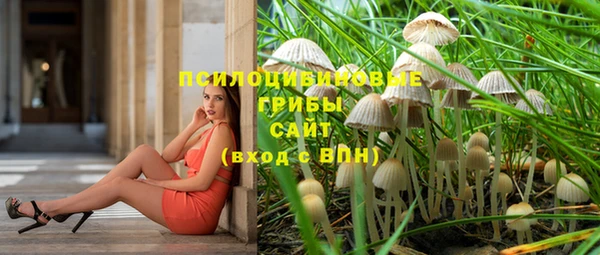 apvp Балахна