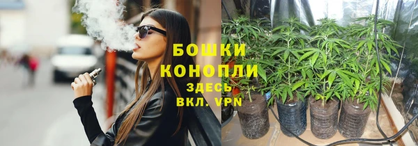 СК Белокуриха