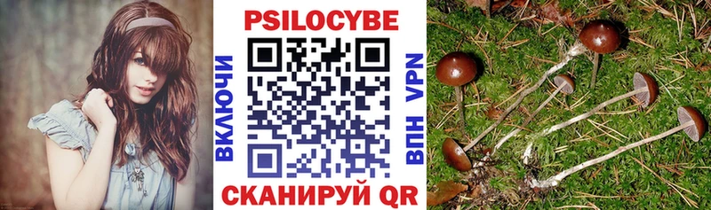 Галлюциногенные грибы Psilocybe  наркотики  Йошкар-Ола 